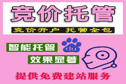 SEM托管优化案例：助力企业品牌形象塑造